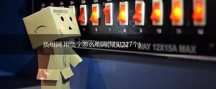 负组词 用负字怎么组词(常见227个),第1张