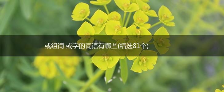 或组词 或字的词语有哪些(精选81个),第1张