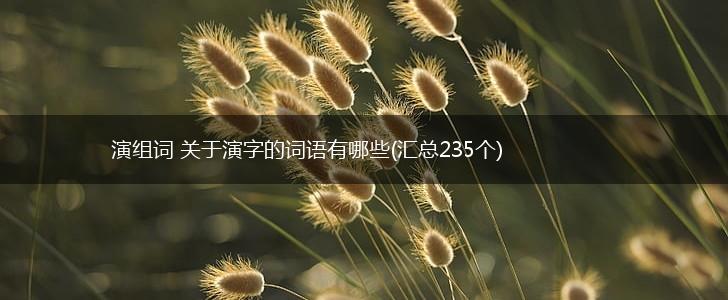 演组词 关于演字的词语有哪些(汇总235个),第1张