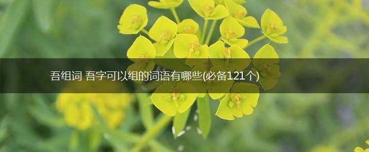 吾组词 吾字可以组的词语有哪些(必备121个),第1张