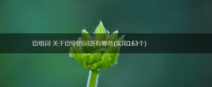 臣组词 关于臣字的词语有哪些(实用163个),第1张