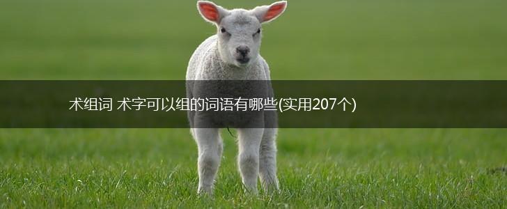 术组词 术字可以组的词语有哪些(实用207个),第1张
