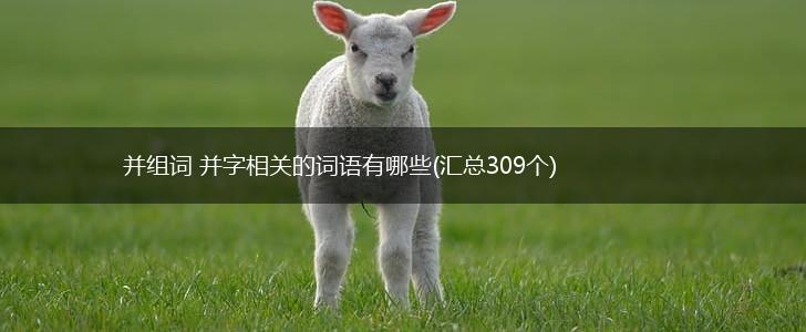 并组词 并字相关的词语有哪些(汇总309个),第1张