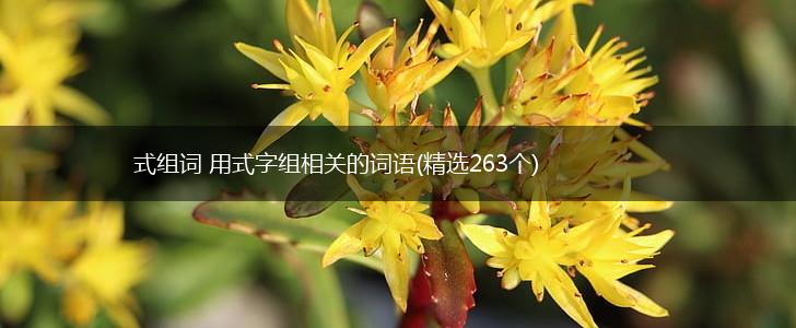 式组词 用式字组相关的词语(精选263个),第1张