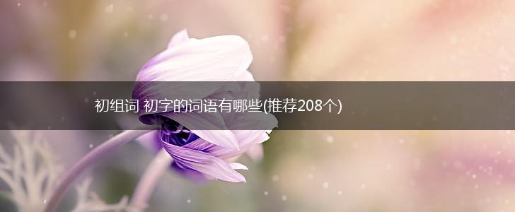初组词 初字的词语有哪些(推荐208个),第1张