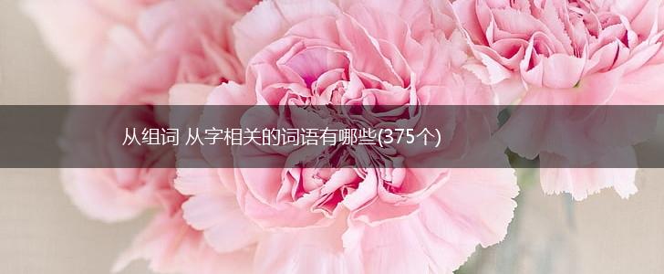 从组词 从字相关的词语有哪些(375个),第1张