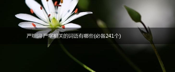 严组词 严字相关的词语有哪些(必备241个),第1张