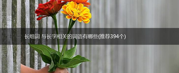长组词 与长字相关的词语有哪些(推荐394个),第1张