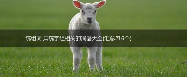 统组词 用统字组相关的词语大全(汇总216个),第1张