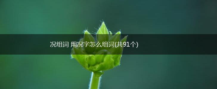 况组词 用况字怎么组词(共91个),第1张