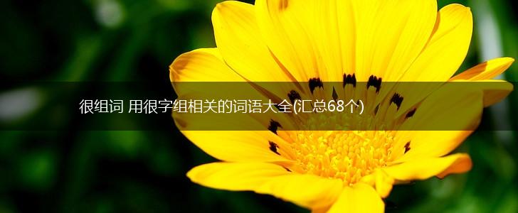 很组词 用很字组相关的词语大全(汇总68个),第1张