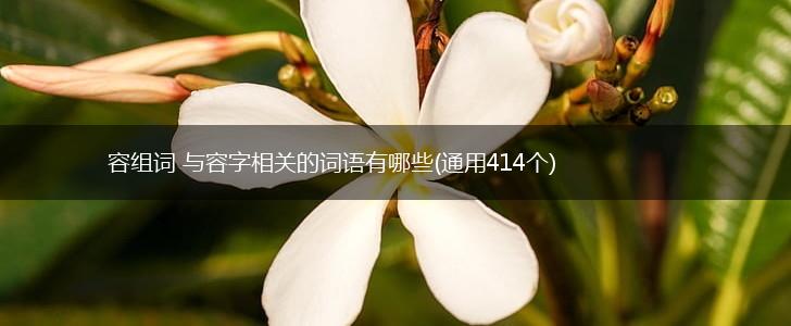 容组词 与容字相关的词语有哪些(通用414个),第1张