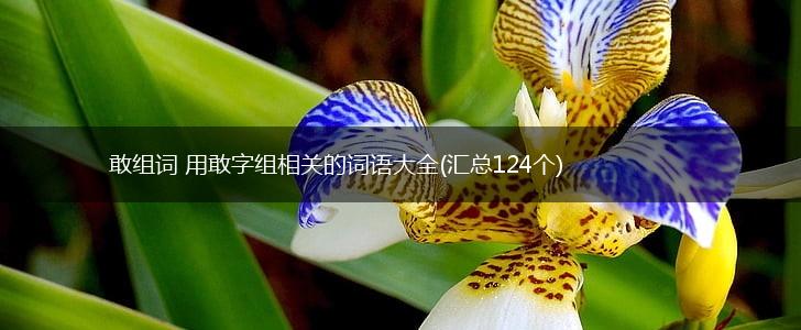 敢组词 用敢字组相关的词语大全(汇总124个),第1张