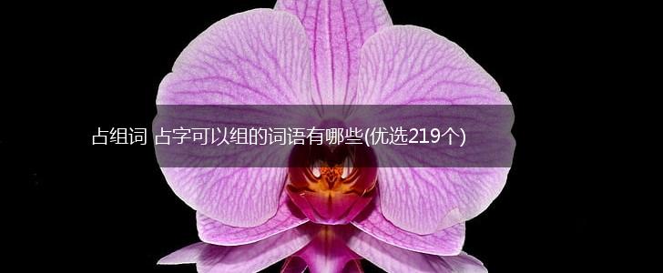 占组词 占字可以组的词语有哪些(优选219个),第1张
