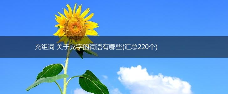 充组词 关于充字的词语有哪些(汇总220个),第1张