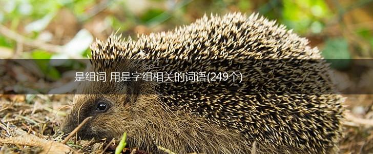 是组词 用是字组相关的词语(249个),第1张