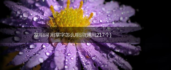 掌组词 用掌字怎么组词(通用217个),第1张