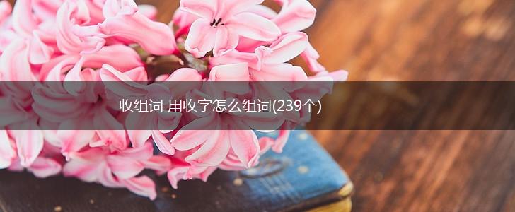 收组词 用收字怎么组词(239个),第1张