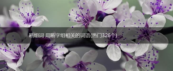 断组词 用断字组相关的词语(热门326个),第1张