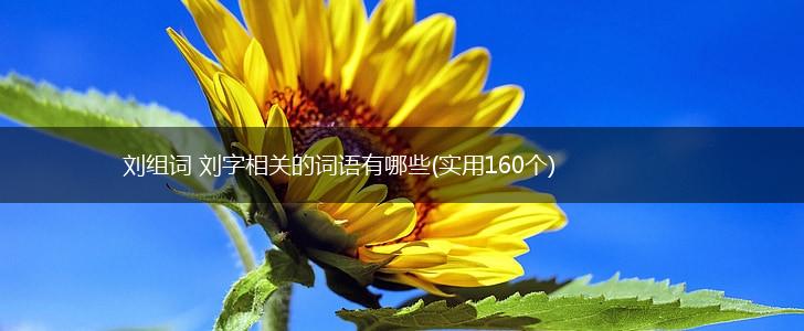 刘组词 刘字相关的词语有哪些(实用160个),第1张
