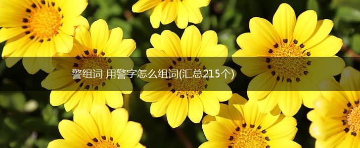 警组词 用警字怎么组词(汇总215个),第1张