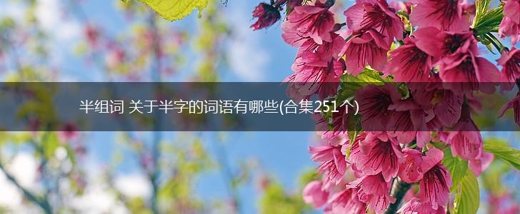 半组词 关于半字的词语有哪些(合集251个),第1张