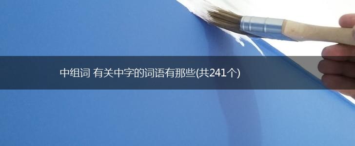 中组词 有关中字的词语有哪些(共241个),第1张 中组词 有关中字的词语有哪些(共241个),第1张