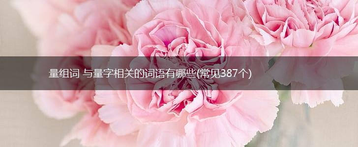 量组词 与量字相关的词语有哪些(常见387个),第1张