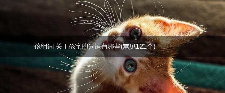 孩组词 关于孩字的词语有哪些(常见121个),第1张