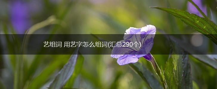 艺组词 用艺字怎么组词(汇总290个),第1张