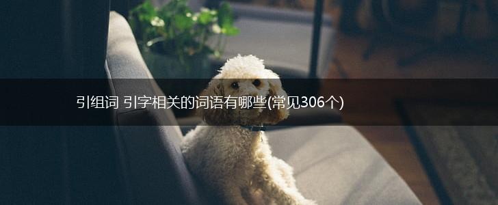 引组词 引字相关的词语有哪些(常见306个),第1张