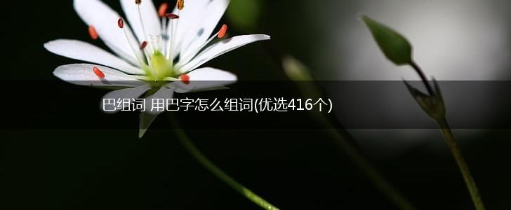 巴组词 用巴字怎么组词(优选416个),第1张