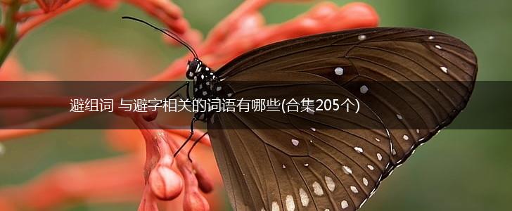 避组词 与避字相关的词语有哪些(合集205个),第1张