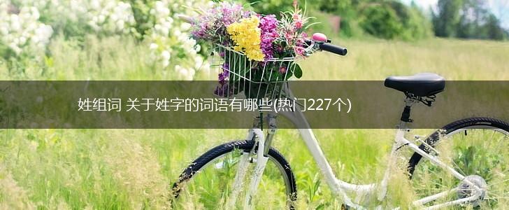 姓组词 关于姓字的词语有哪些(热门227个),第1张