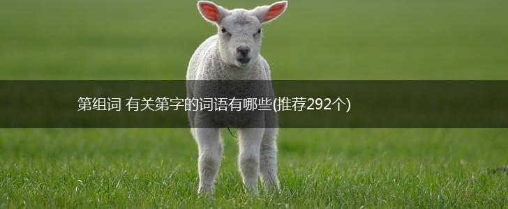 第组词 有关第字的词语有哪些(推荐292个),第1张