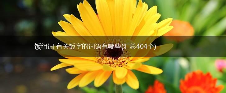 饭组词 有关饭字的词语有哪些(汇总404个),第1张