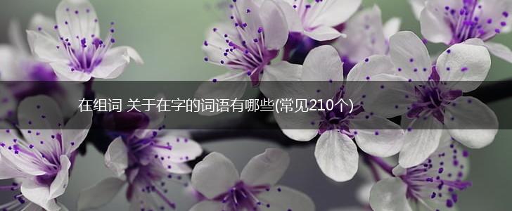 在组词 关于在字的词语有哪些(常见210个),第1张