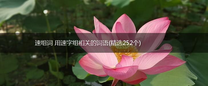 速组词 用速字组相关的词语(精选252个),第1张
