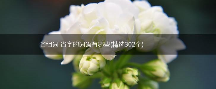 省组词 省字的词语有哪些(精选302个),第1张