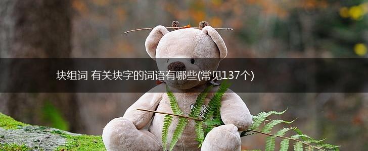 块组词 有关块字的词语有哪些(常见137个),第1张