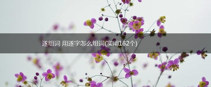 遂组词 用遂字怎么组词(实用162个),第1张