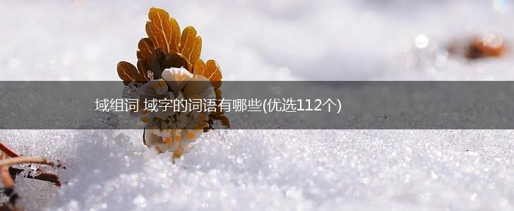 域组词 域字的词语有哪些(优选112个),第1张