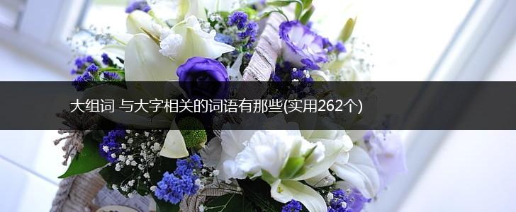 大组词 与大字相关的词语有哪些(实用262个),第1张 大组词 与大字相关的词语有哪些(实用262个),第1张