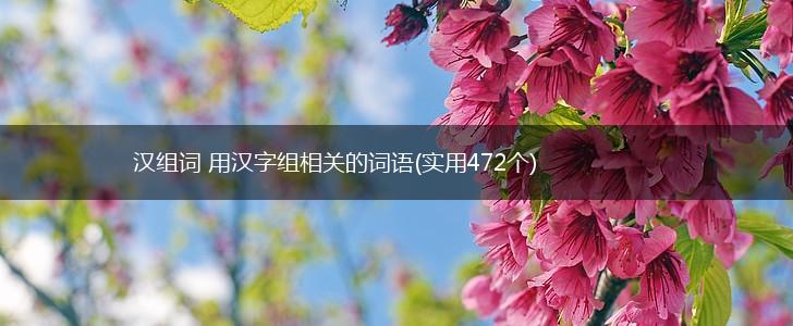 汉组词 用汉字组相关的词语(实用472个),第1张