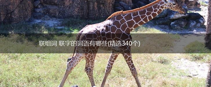 联组词 联字的词语有哪些(精选340个),第1张