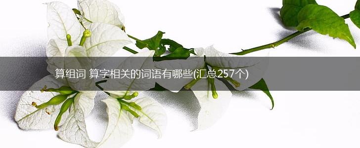 算组词 算字相关的词语有哪些(汇总257个),第1张