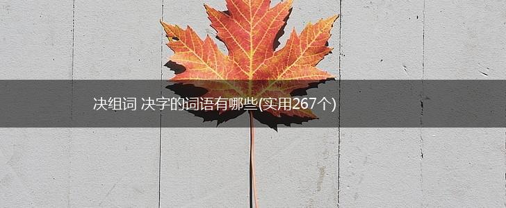 决组词 决字的词语有哪些(实用267个),第1张