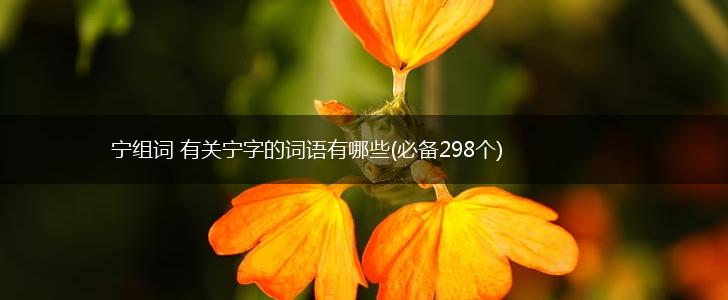 宁组词 有关宁字的词语有哪些(必备298个),第1张