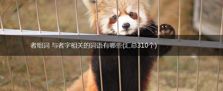 者组词 与者字相关的词语有哪些(汇总310个),第1张