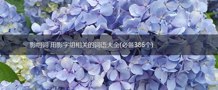 影组词 用影字组相关的词语大全(必备386个),第1张 影组词 用影字组相关的词语大全(必备386个),第1张